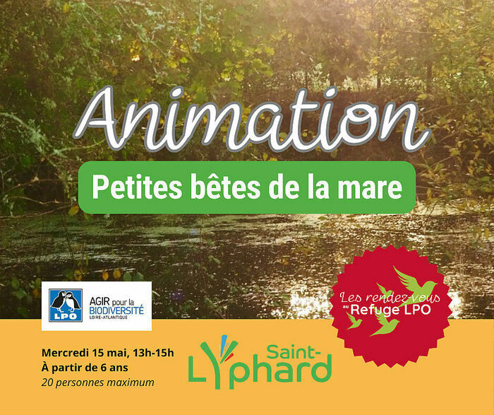 Animation - Amphibiens et bêtes de la mare Refuge LPO de Saint Lyphard St lyphard
