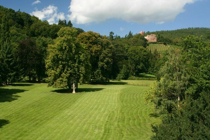 Visite du parc du manoir de Kintzheim Ruines et parc du château de Kintzheim Kintzheim