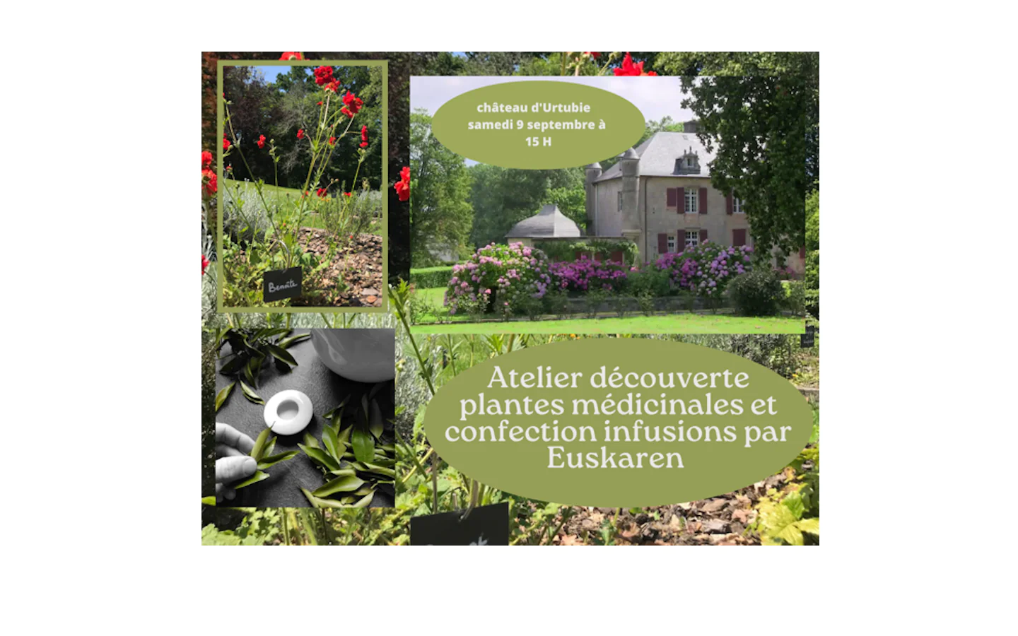 Visite du château d'Urtubie + Atelier découverte des plantes médicinales