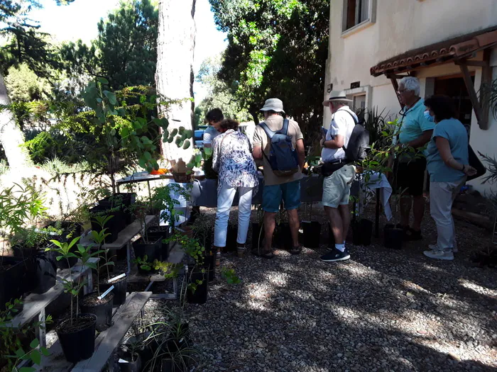Conseils de culture et vente de plantes Villa Thuret et Jardin botanique Antibes