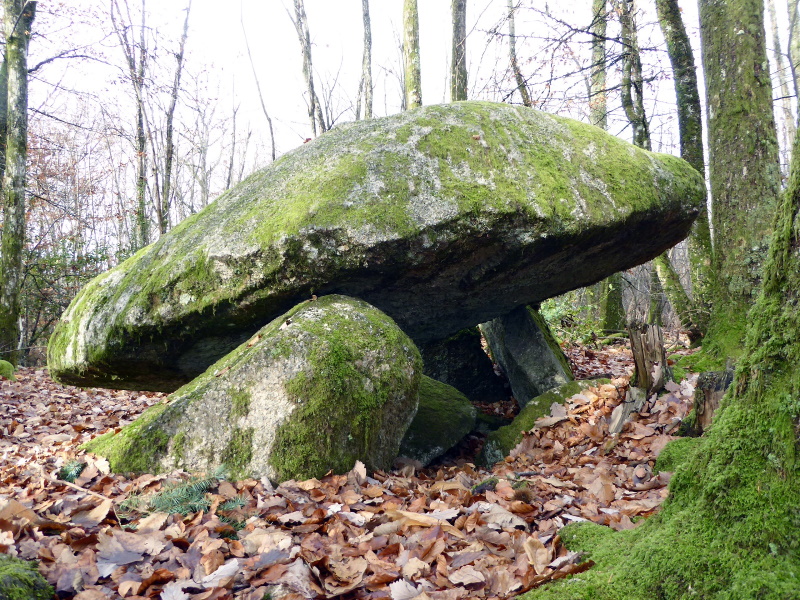 Base VTT FFC des Monts du Limousin - Circuit 4 Le dolmen Ambazac Nouvelle-Aquitaine
