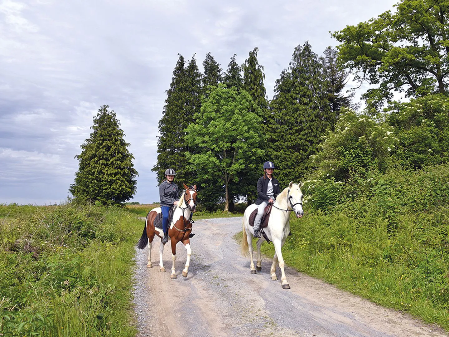 Ouillon : chemin des bergers à cheval Ouillon Nouvelle-Aquitaine