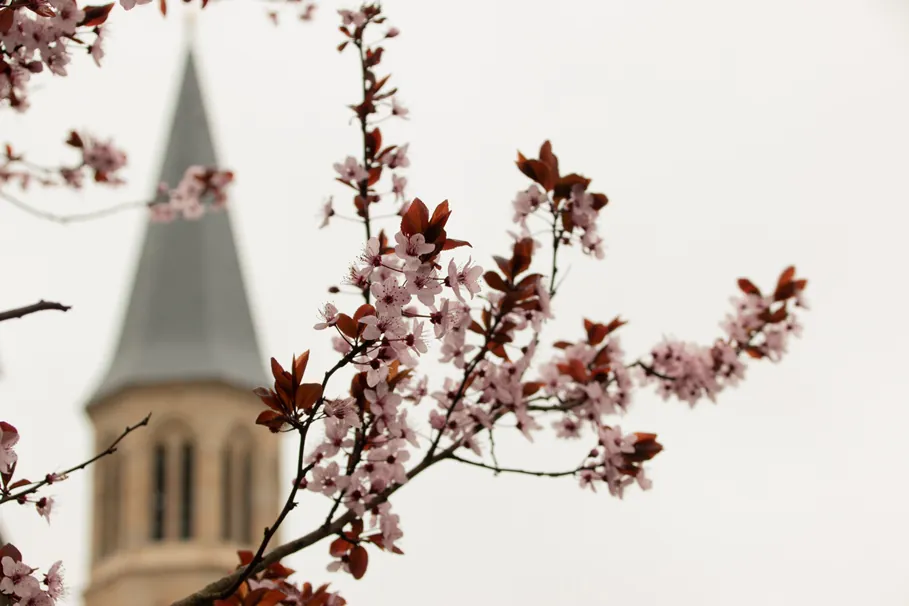 C8 circuit cyclo autour de SaintSulpicelesFeuilles et ArnaclaPoste
