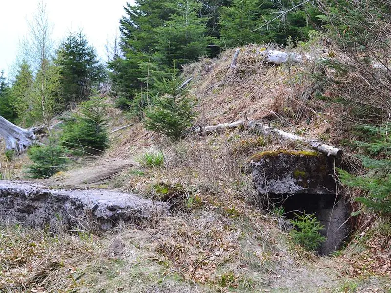 Circuit rando D01 : Le sentier des bunkers Grandfontaine Grand Est