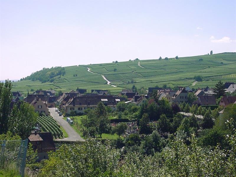 Sentier viticole des Grands Crus - Mittelwihr Mittelwihr Grand Est