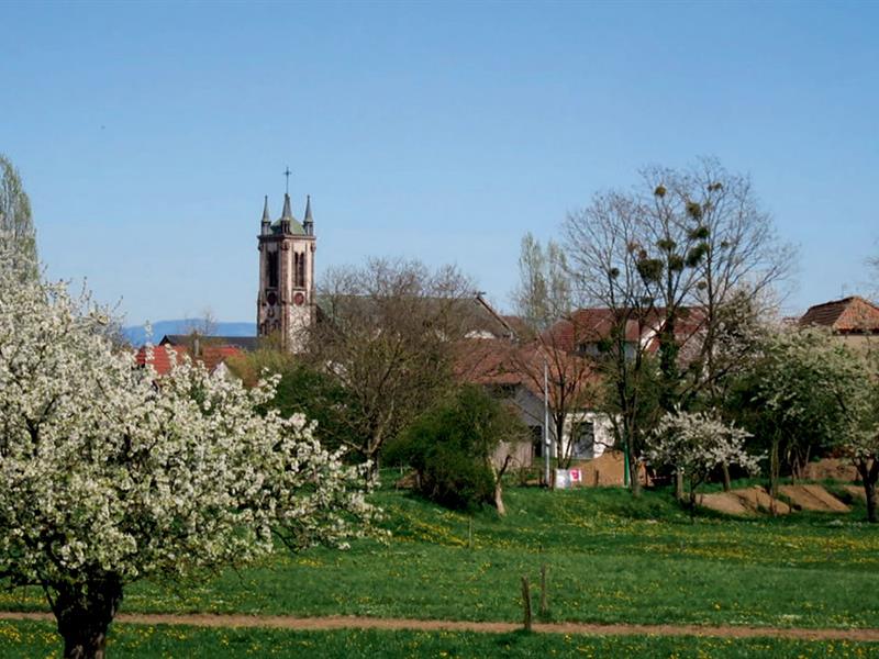 A la découverte de Sausheim Sausheim Grand Est