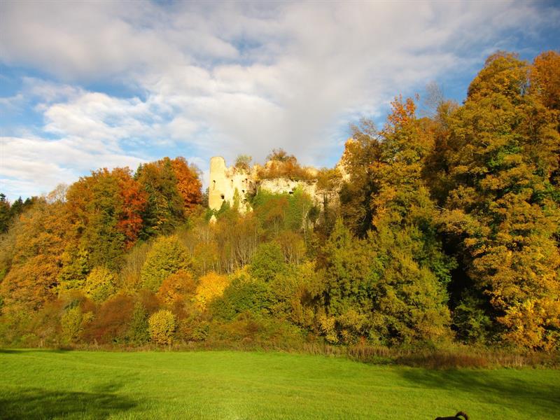 Randonnée pédestre: Oberlarg  le château du Morimont Oberlarg Grand Est