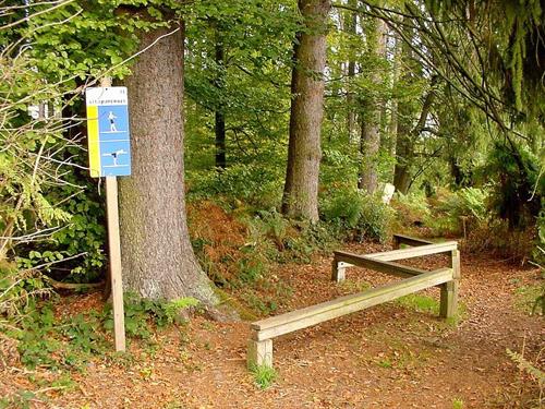 Parcours de santé Forêt du Niederwald Rouffach Grand Est
