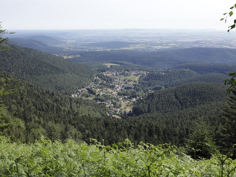 Circuit des Pandours - Marche nordique Wangenbourg-Engenthal Grand Est