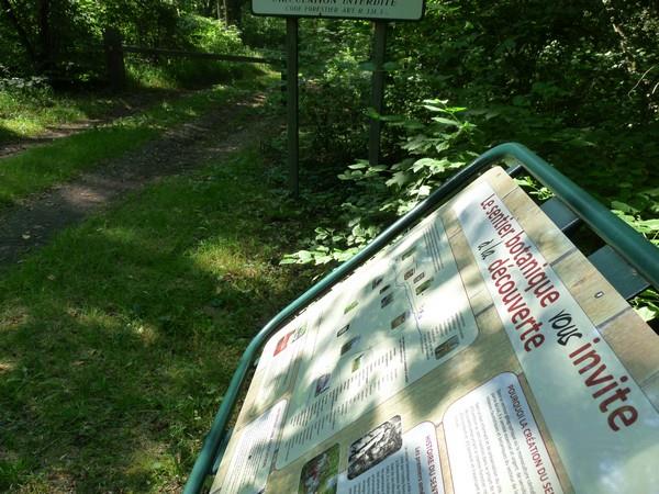 Sentier botanique : forêts Riediennes Ohnenheim Grand Est