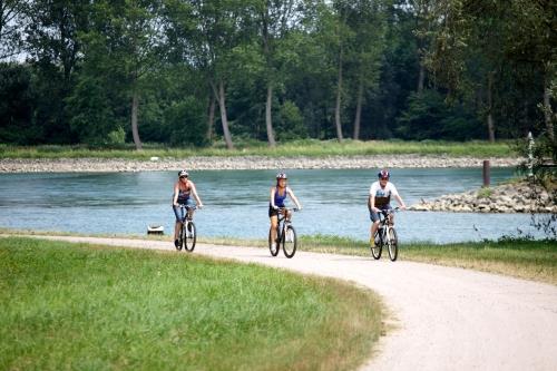Circuit vélo : des villages pittoresques aux bords du Rhin Hunspach Grand Est