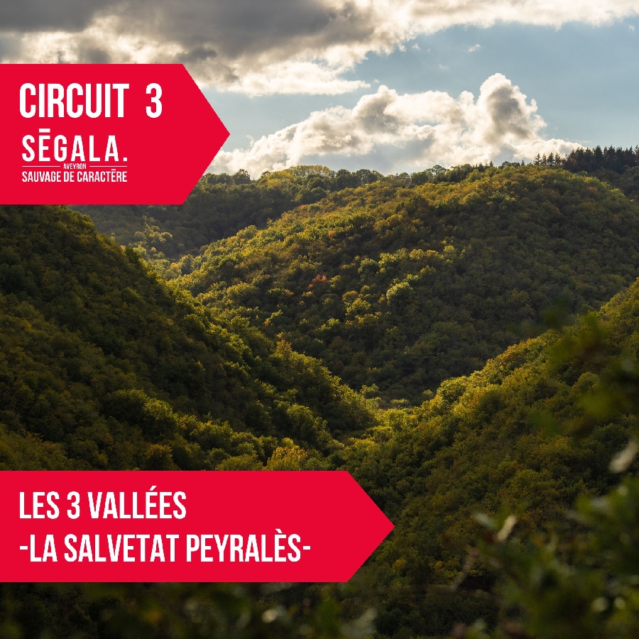 circuit VTT VAE - Les 3 vallées - La Salvetat Peyralès Rieupeyroux Occitanie