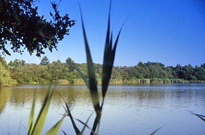 Les étangs de Sologne (circuits accompagnés) Romorantin-Lanthenay Centre-Val de Loire