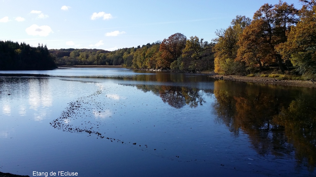 Circuit de randonnée : autour des étangs Flayat Nouvelle-Aquitaine