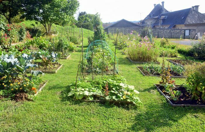 les sens en fête au jardin partagé "Choux et Fleurs" 7 ave Altenkessel 02380 Coucy le Chateau Coucy-le-Château-Auffrique