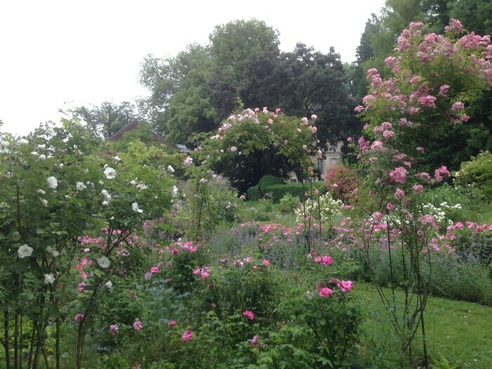 Visite du parc à l'anglaise et du jardin de roses anciennes de l'abbaye de Bèze Abbaye de Bèze Bèze