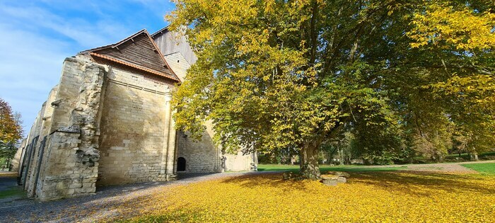 Visite Nature -  Atelier nature de la sagesse des arbres Abbaye de Vaucelles Les Rues-des-Vignes
