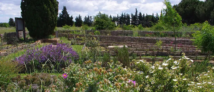 Restitution du projet « Adopte un jardin » Amphoralis