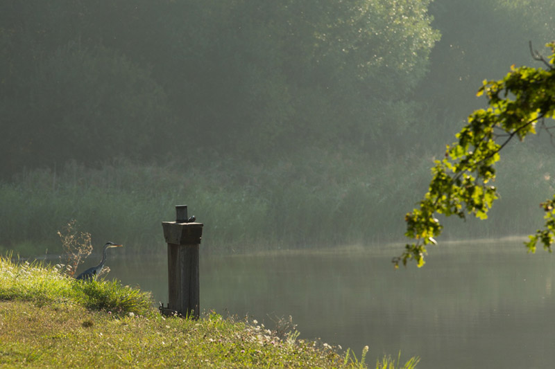 Balade à pied n°3 - Voyage entre les étangs et le canal des cinq bondes Lingé Centre-Val de Loire