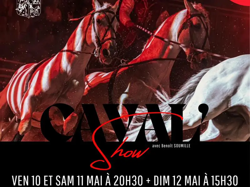 SPECTACLE "CAVAL'SHOW"