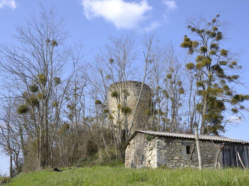 Boucle du Moulin Castelmoron-d'Albret Nouvelle-Aquitaine