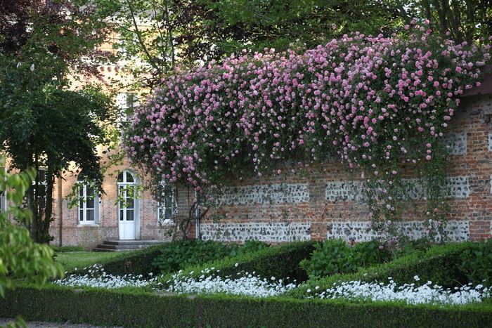Visite libre du jardin Château de Bois-Guilbert et Jardin des sculptures Bois-Guilbert