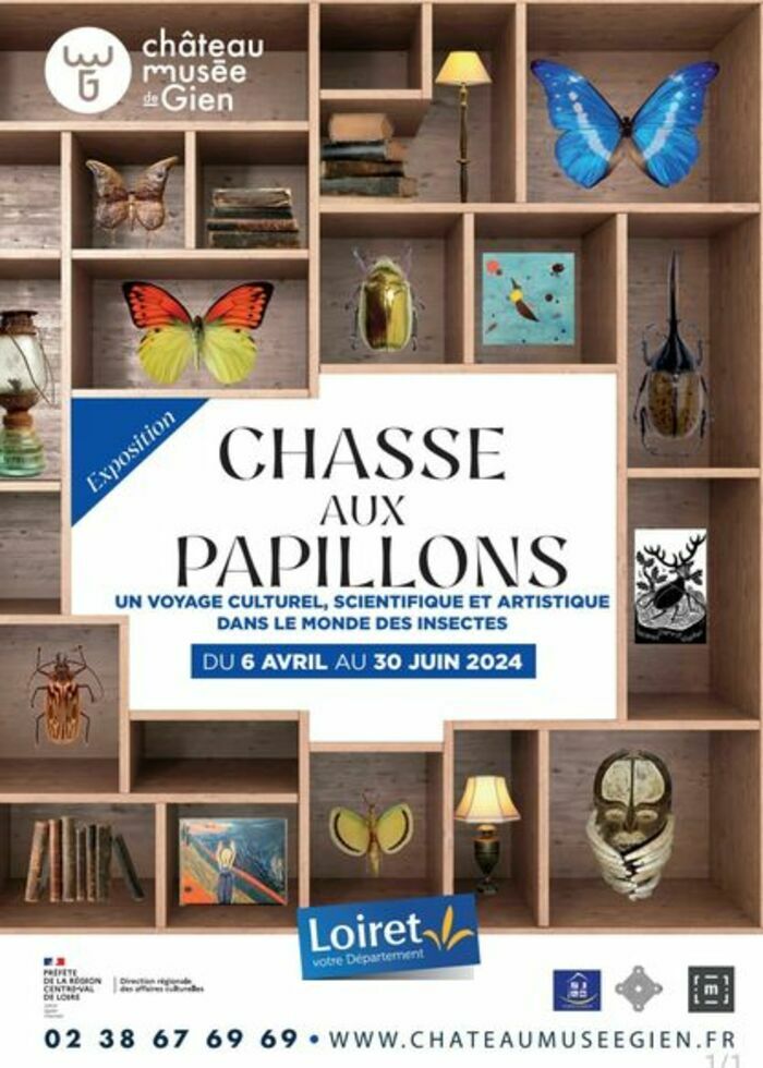 Exposition : Chasse aux papillons