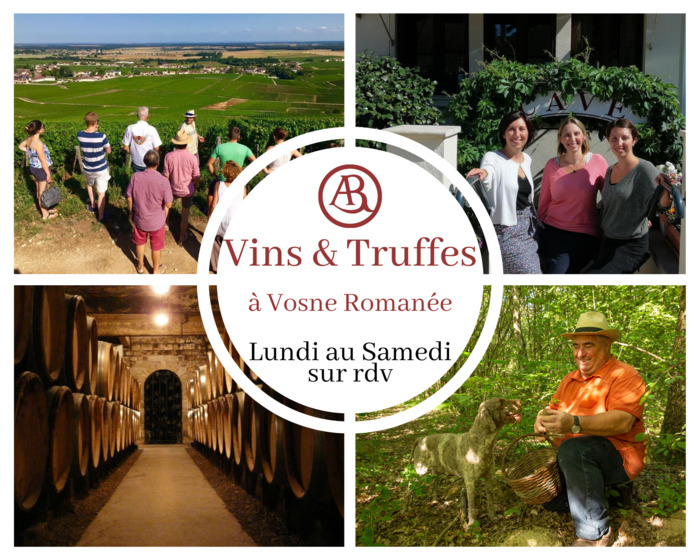 Visitez le domaine viticole familial d'Armelle et Bernard Rion à Vosne-Romanée ! Domaine Armelle et Bernard Rion Vosne-Romanée