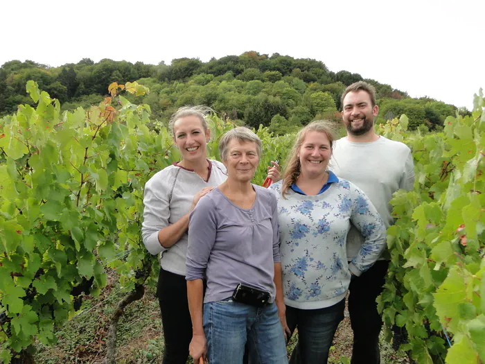 Le métier de vigneron Domaine de la Goulotte - Caveau Saint-Maurice-sous-les-Côtes