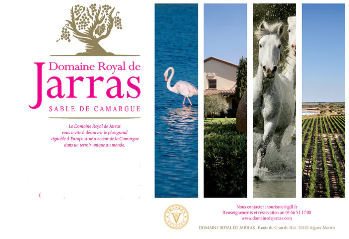 Visite du vignoble du Domaine Royal de Jarras et dégustation Domaine Royal de Jarras Aigues-Mortes