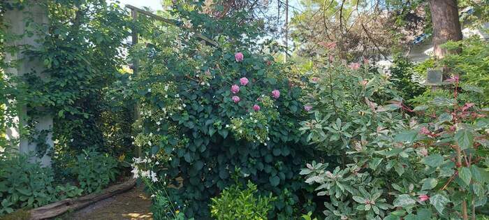 Visite guidée découverte d´un jardin anglais En Terres d'Arelaune... Arelaune-en-Seine