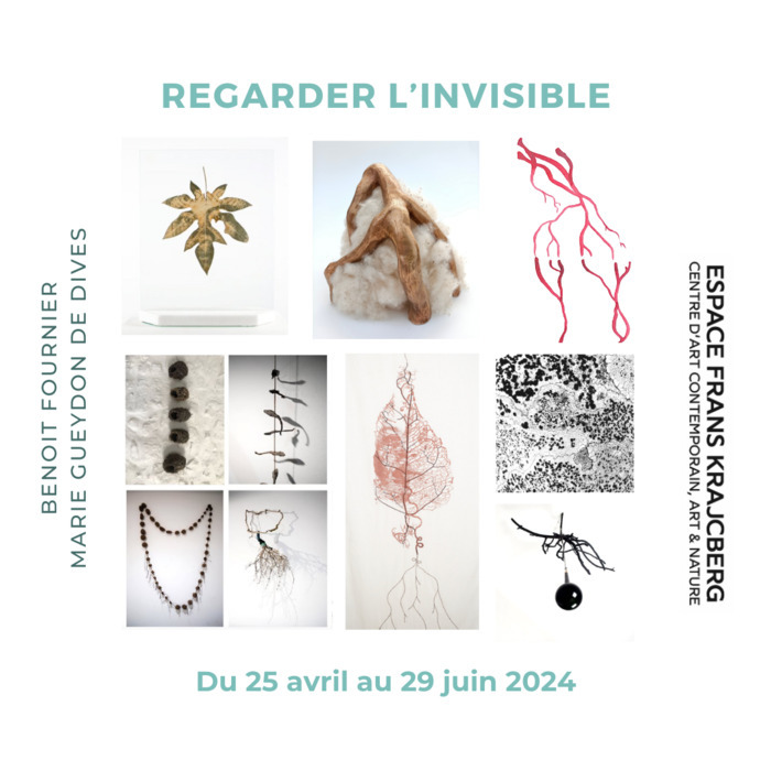Exposition "Regarder l'invisible" Espace Frans Krajcberg Paris