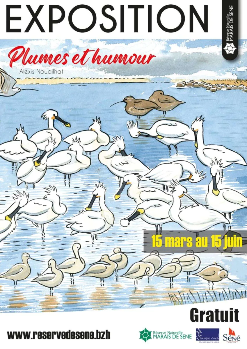 Expo - Plumes d'humour