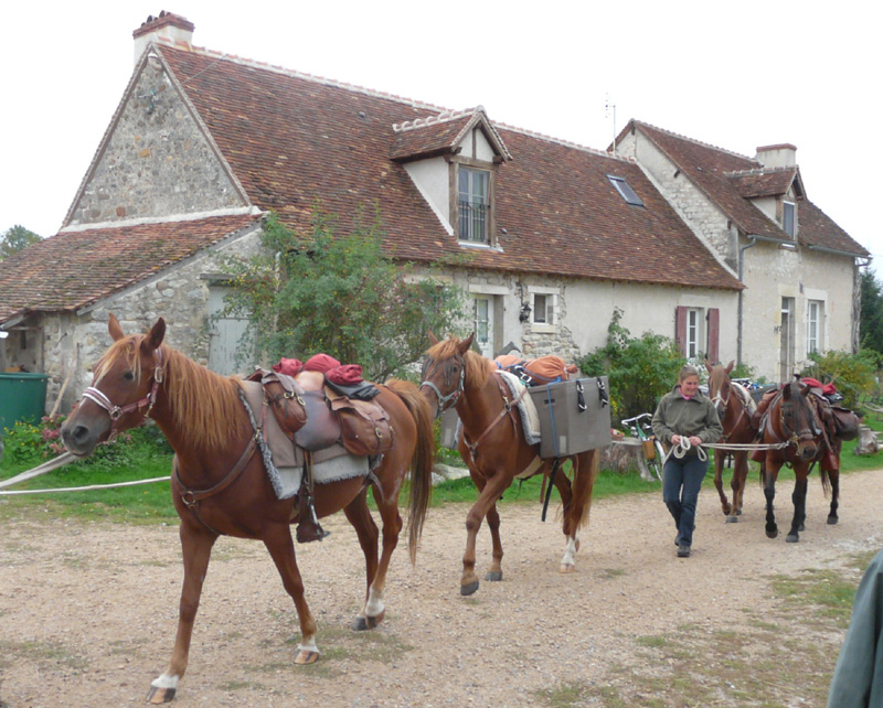 La Brenne à cheval : circuits en marguerite au départ de la ferme de la Petite Ménardière Lignac Centre-Val de Loire