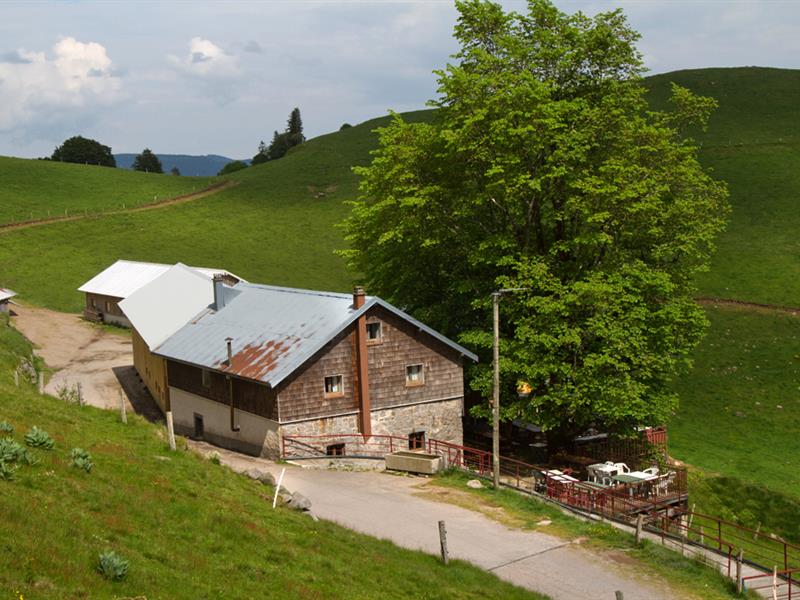 Balade ferme auberge Felsach : vers un sanctuaire de nature Fellering Grand Est