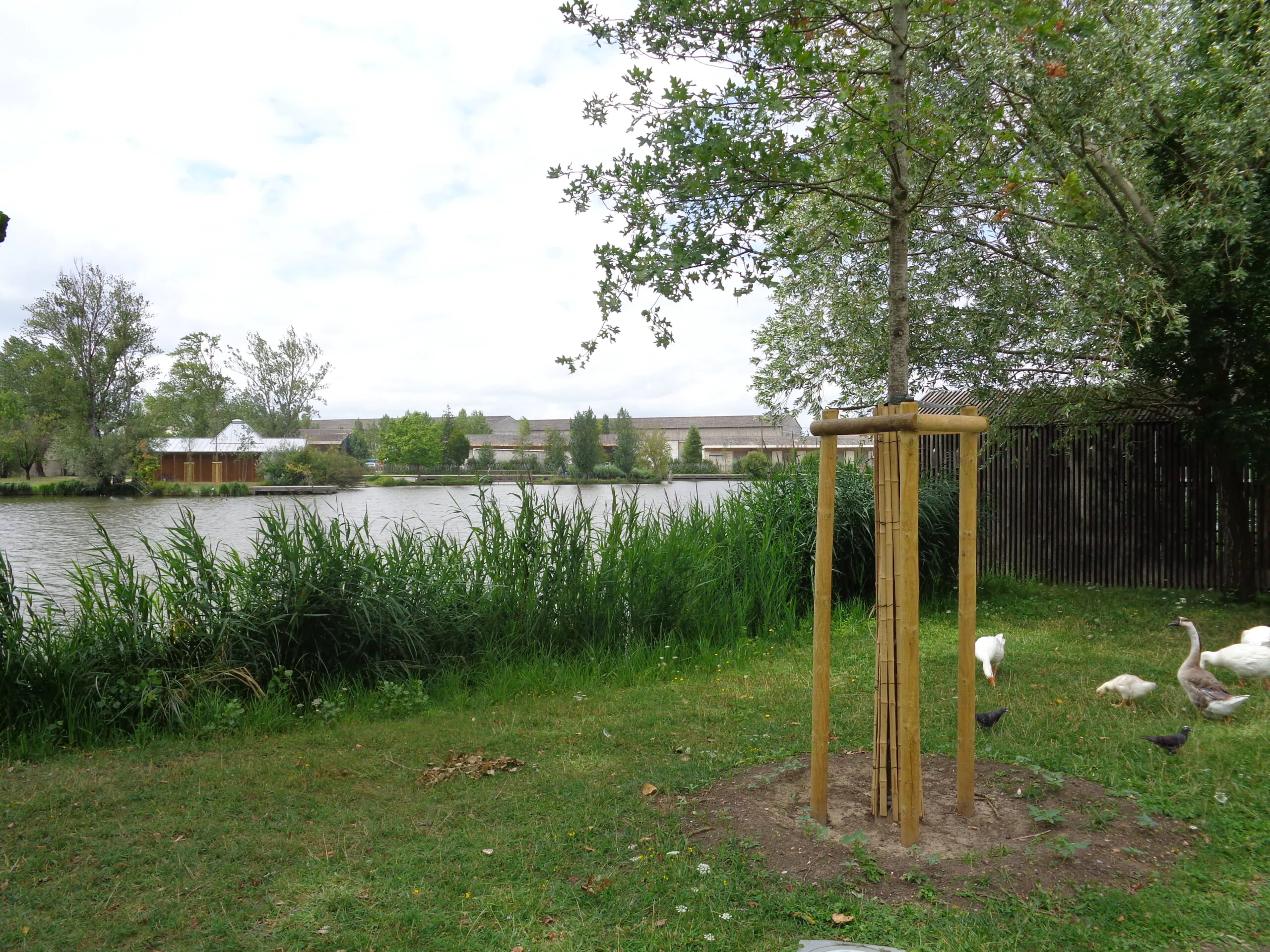 Balade à roulettes : Le parc des étangs Floirac Nouvelle-Aquitaine