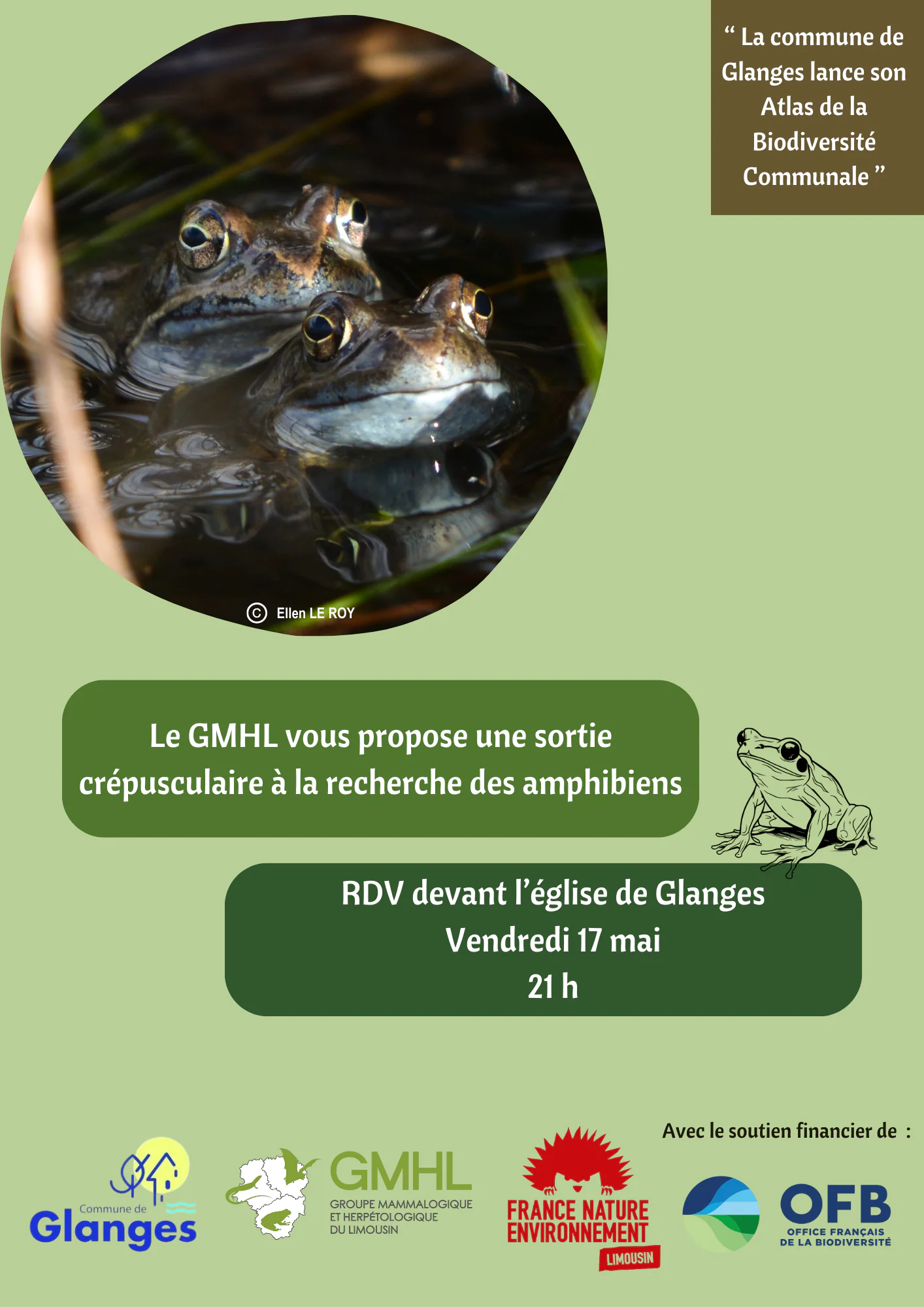 sortie crépusculaire à la recherche des amphibiens de Glanges