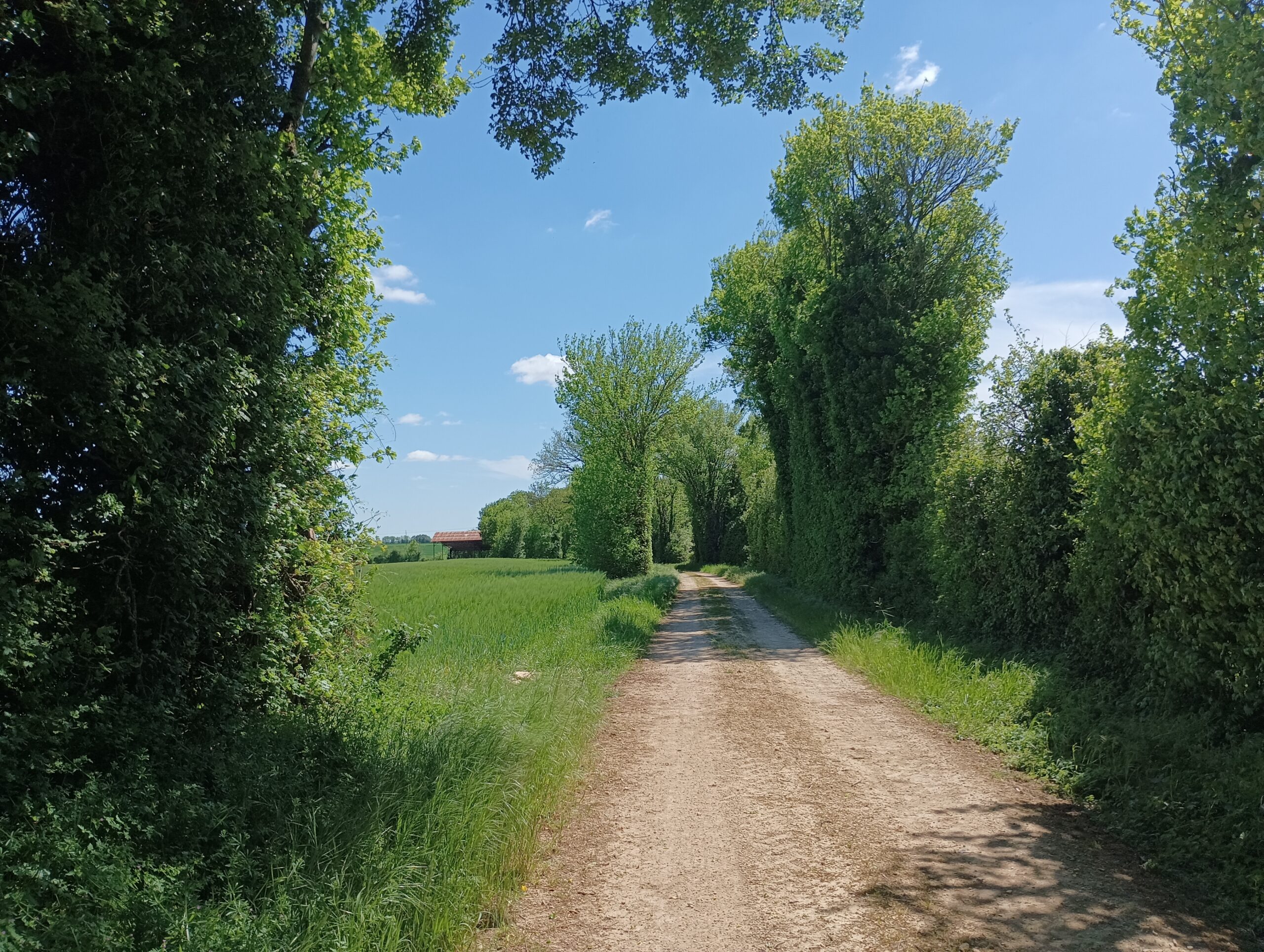 Le chemin des Lavandières - Hanc Valdelaume Nouvelle-Aquitaine