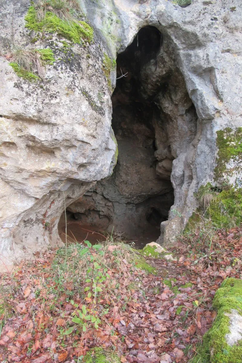 Boucle de l'ermite à Saint-Cyprien Saint-Cyprien Nouvelle-Aquitaine