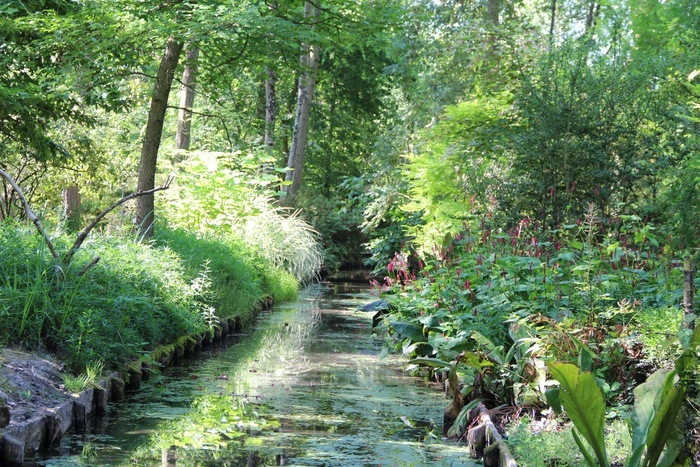Visite libre du jardin Jardin Arboretum d'Ilex Meung-sur-Loire