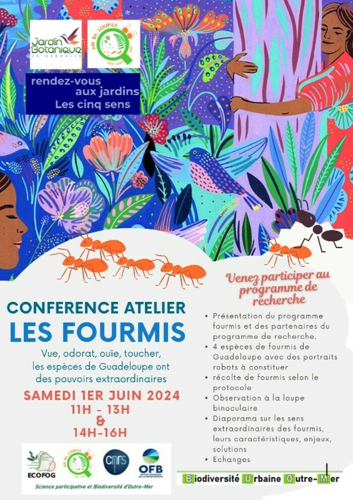 Conférence atelier: "Les Fourmis" au Jardin Botanique de Deshaies Jardin Botanique de Deshaies Deshaies