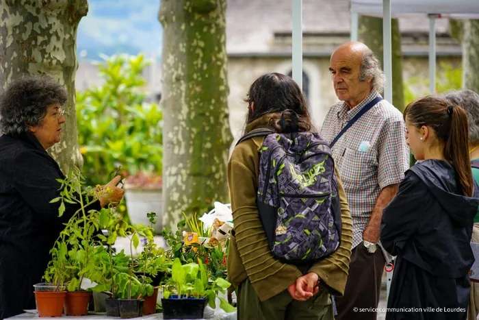« Troc de plantes dans les jardins du Musée Pyrénéen » avec Annick Baléri Jardin botanique du château fort et musée pyrénéen Lourdes