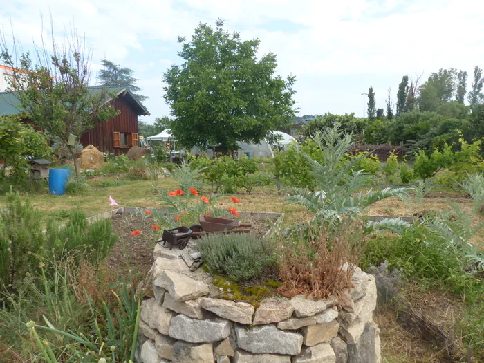 Ballade "gustative" du jardin collectif communal Jardin collectif « Paill'Terre et Cie » Bourgoin-Jallieu
