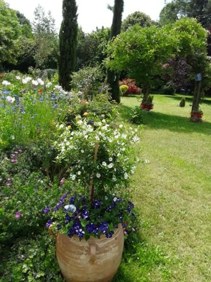 Visite en présence du propriétaire Jardin de Diane et Patrick Bellegarde