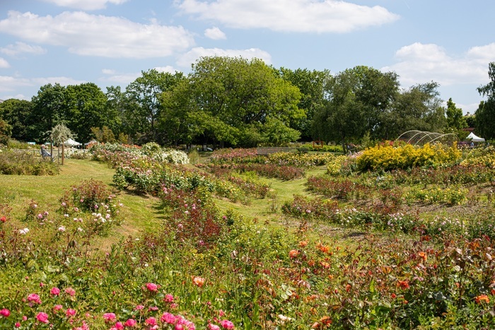 Visite libre : tous au jardin Jardin de la Roseraie Le Grand-Quevilly