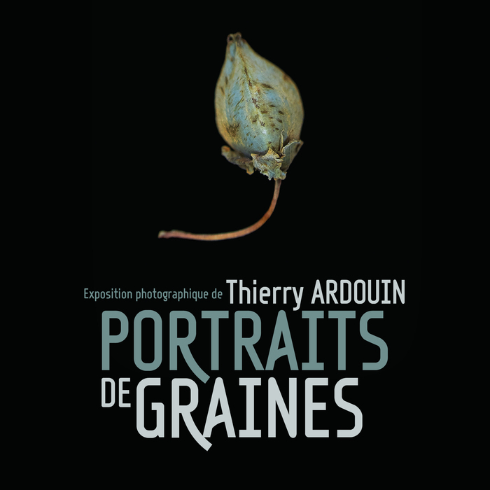 Visite guidée de l’exposition : portraits de graines Jardin de l'abbaye Saint-Georges Saint-Martin-de-Boscherville