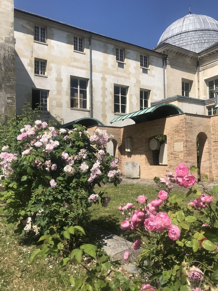 Visite guidée - Les roses de Saint-Denis Jardin des 5 sens - Musée d'art et d'histoire de Saint-Denis Saint-Denis