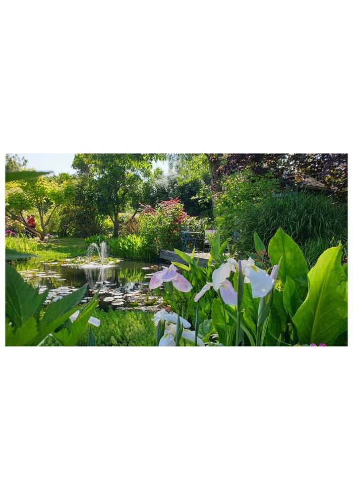 Visite libre du jardin Jardin des Eschéris Ducey-les-Chéris