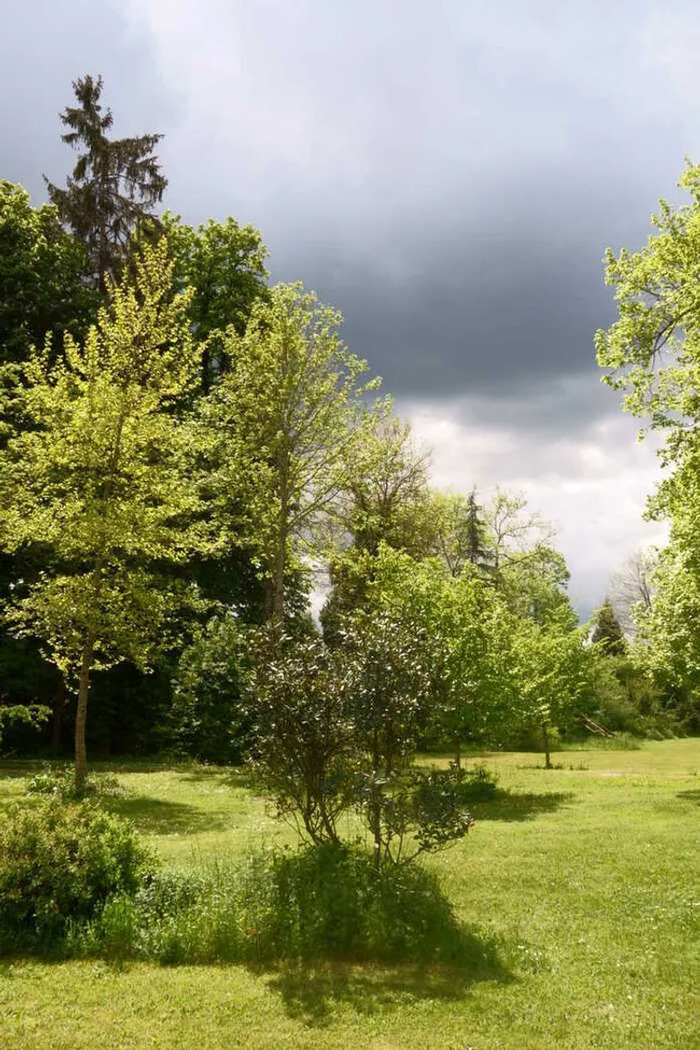 Visite commentée d'un jardin-arboretum en Périgord vert Jardin des Peyroties Saint-Front-la-Rivière