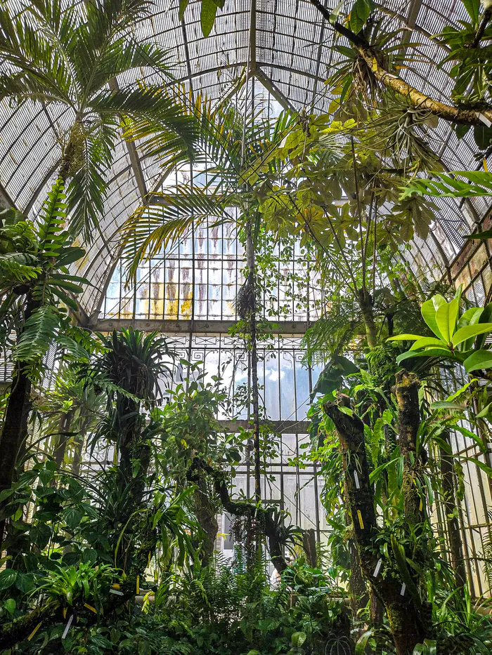 Le Chant du Palmarium - visite sonore Jardin des Plantes Nantes